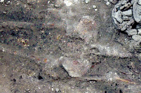 Banga abuzz with 3,500-year-old history 