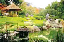 Feng Shui money gardens