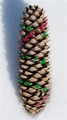 Nature follows a number pattern called Fibonacci