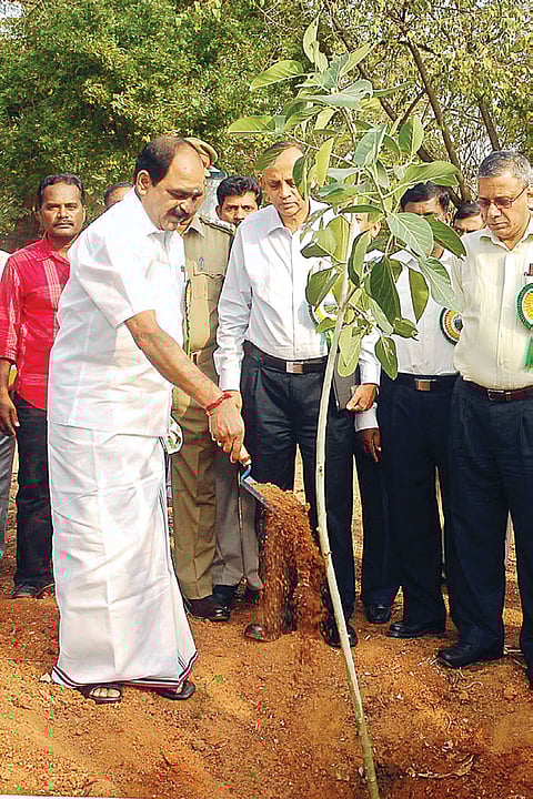 ‘Every student must plant saplings’