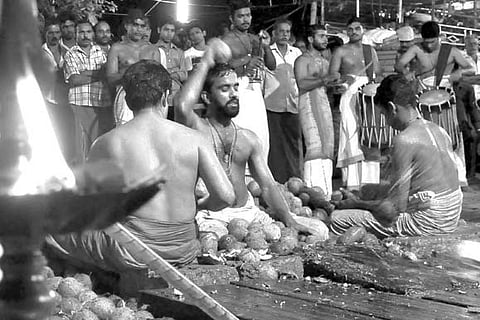 An oracle with a knack for breaking coconuts