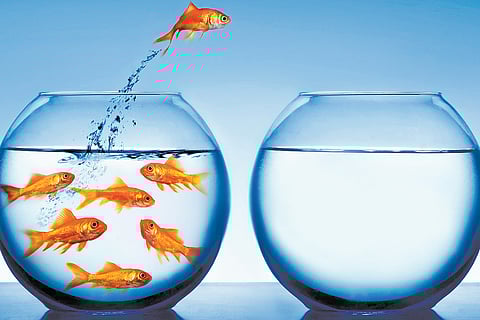 Guru liberates one from bondage