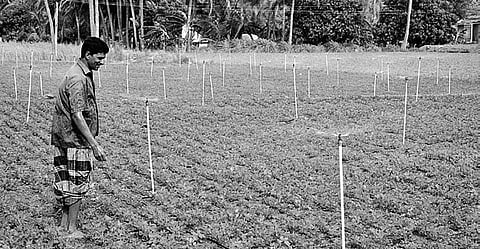 Farmer gets wise, beats drought with micro-irrigation