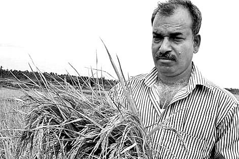He reaps 65 quintals of paddy per acre