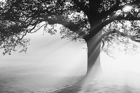 Divinity cannot be captured through logic