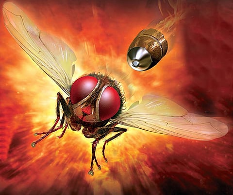 'Eega' appreciated at Shanghai film fest