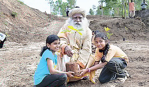 Sprouting green hands