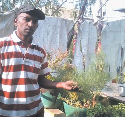 In-house veggies for your everyday needs