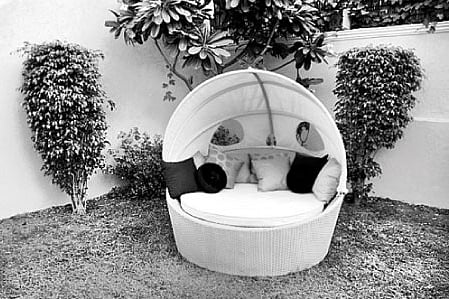 The pride of the house