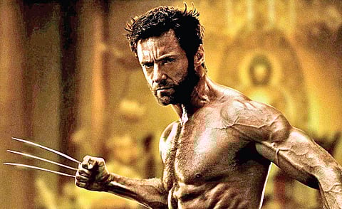 The Wolverine (English)