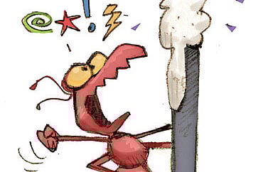 As we evolve, pests evolve with us