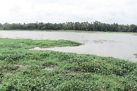 Renovation and deepening of Manjaly Canal stagnant