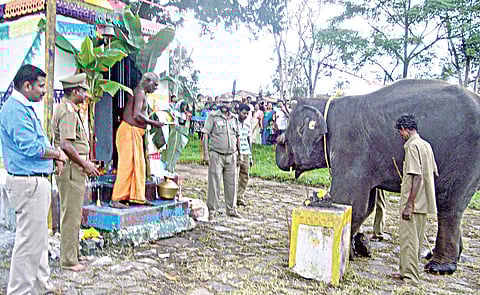 Busy 'Little Sivakasi' churns out 1,000 Ganesha idols