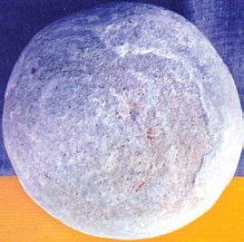 'Fossilised dinosaur egg' found in limestone mine