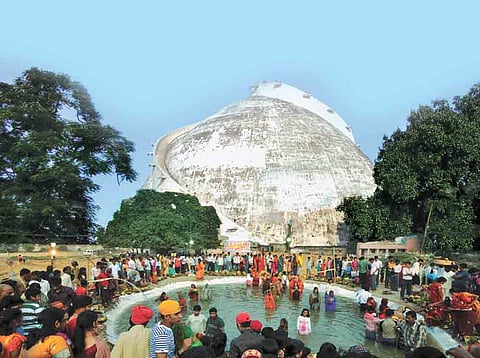 Burrowing city of oddity