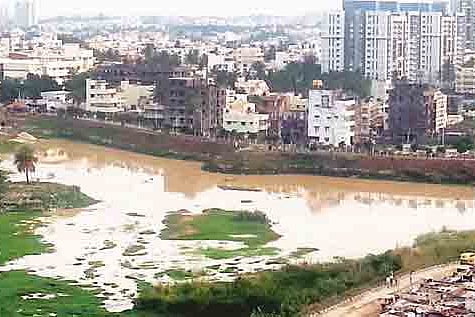 Citizens revive Puttenahalli Lake