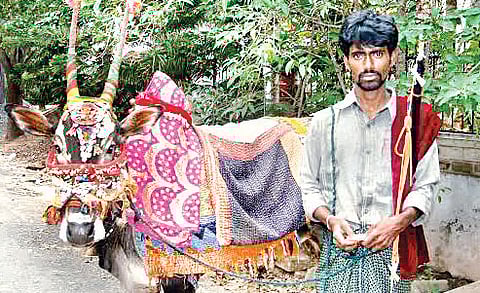 These Pipers Come a Long Way