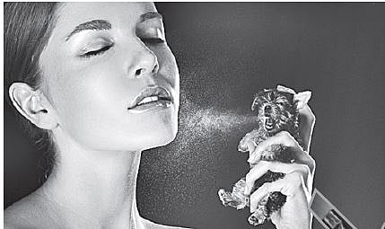 Your Vaseline Has Blood!