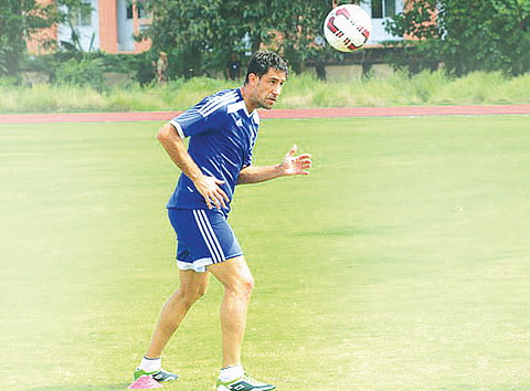 Indians in Shade as Imports Grab Spotlight