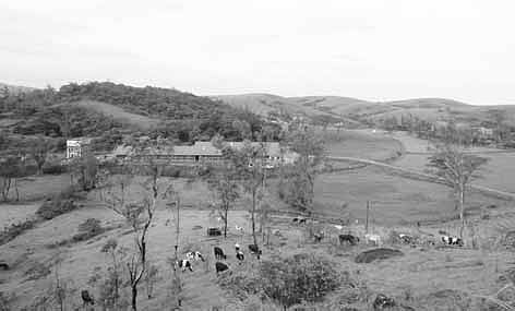 Inter-departmental Row Hits Modern Mother Bull Farm