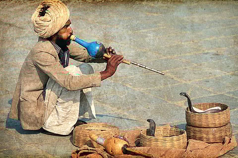 The Serpent’s Trail