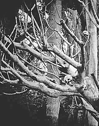 Exploring the Darkest Depths of Fear  