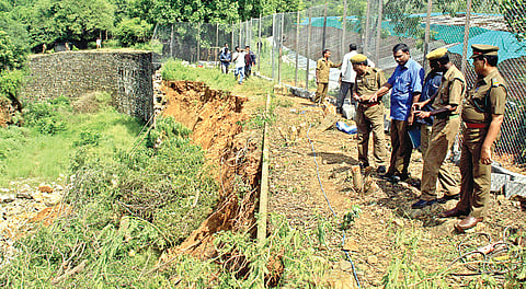 Vandalur Tigress Still on the Prowl