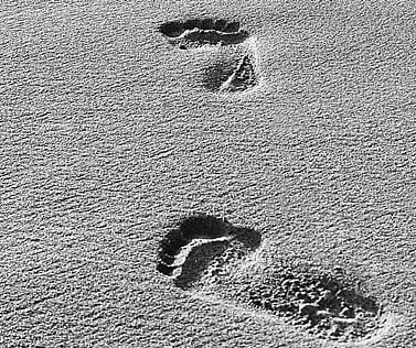 How Bharata Ruled Ayodhya  