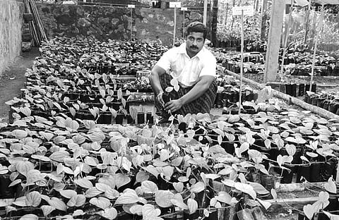 Proud to Be a Farmer