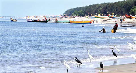 Tourism Department Ignores Devpt of Beaches in Alappuzha