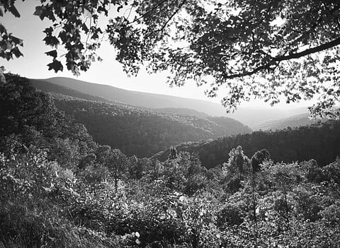 Consider Guru's Words as Veda Vaakya