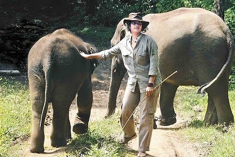 A Home for the Elephants