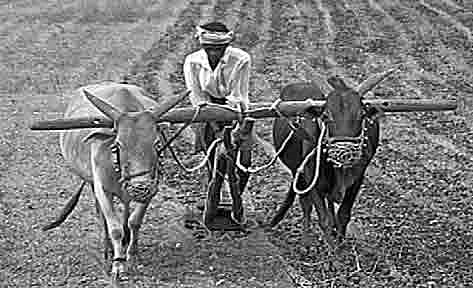 BKKY Running Behind Schedule