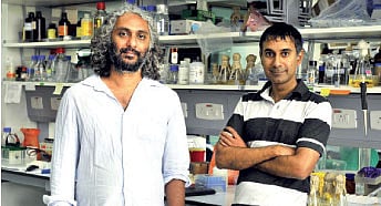 Exploring the Art of Science