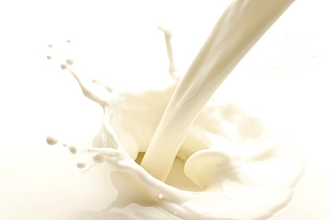 UP FDA Finds Detergent in Mother Dairy Milk Sample