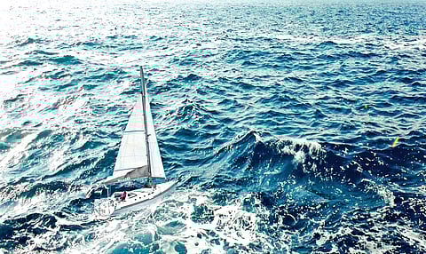 Go Explore The Big Blue World