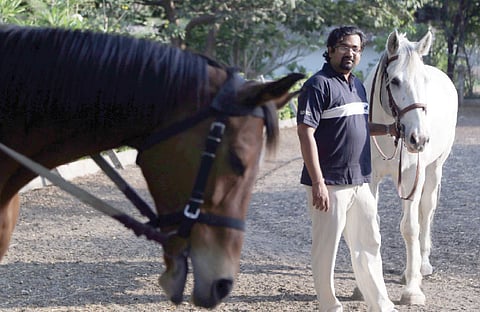 Horsing Around at the More's