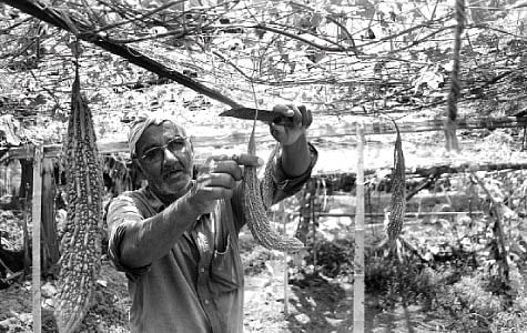 Managing the Business of Farming