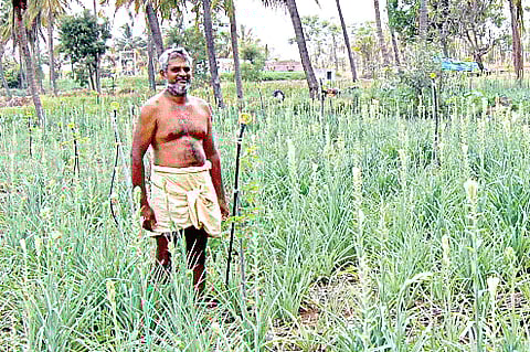Integrated Farming Scripts Success Story