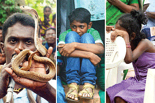 Vava Suresh Clears Myths, Misconceptions Surrounding Snakes 