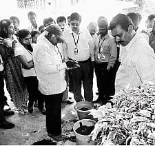 Techies Learning Terrace Gardening in Mysore