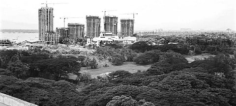 Birds Keep Off Polluted Mangalavanam