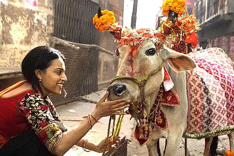 'Nil Battey Sannata' Going Well at Box Office