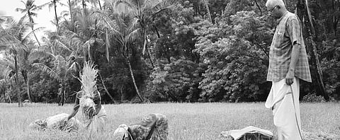 Lack of Patronage Hits Navara Rice