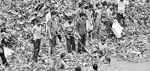 Hyacinth Choked Channels Caused Sambalpur Inundation