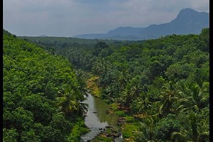 MoEF Asks States to Identify Deemed Forest Areas 