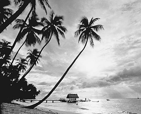 Embracing Opposing Truths