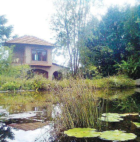 A Space For Global Artists and Local Talents  