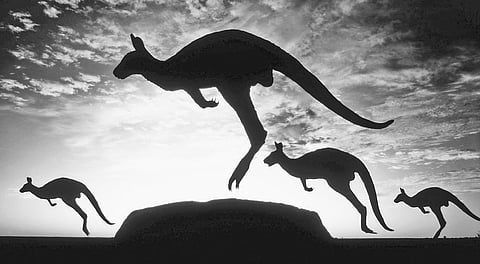 A Million Lifetimes in Just One Leap