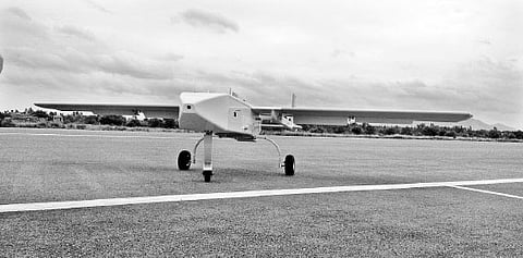 Panchi Readies for Flight 